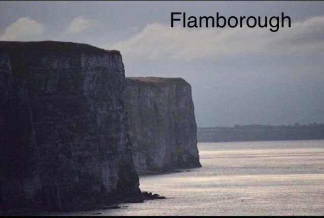Apartment 19 Gannet Grove Haven Flambourgh Bridlington East Coast *