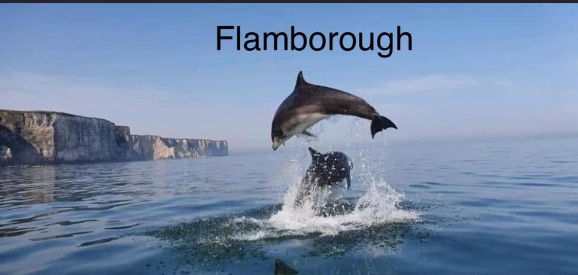 19 Gannet Grove Haven Flambourgh Bridlington East Coast Apartment